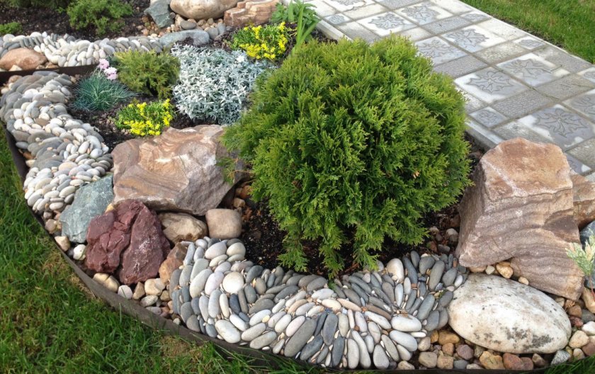Камни под туи фото Камни под туи фото