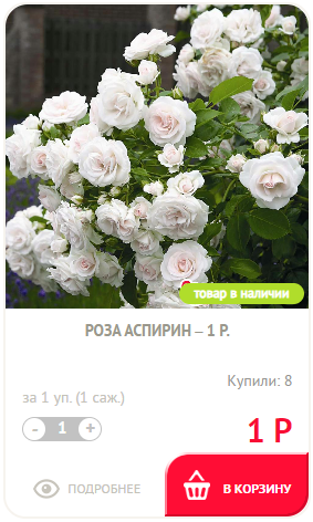 Роза Асприн 1 руб
